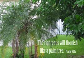The righteous shall flourish like the palm tree: | Enid &amp; Austin Bhebe