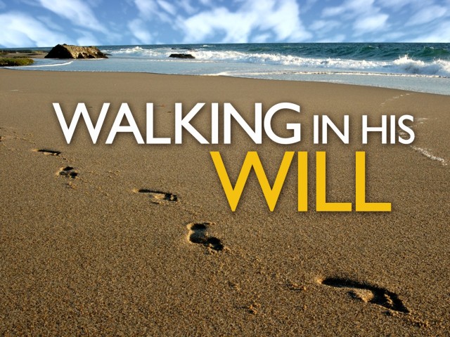 walking-in-his-will_t_nv